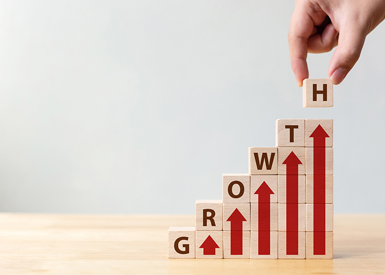 Wooden building blocks showing the word 'growth'