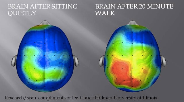 brain scans before and after walking