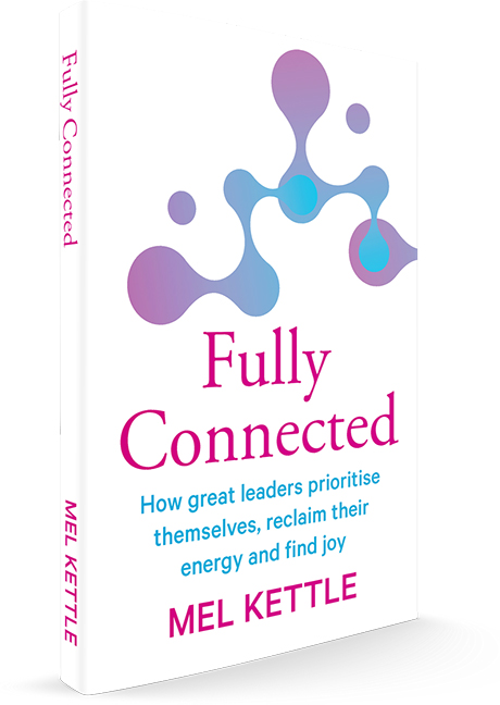 Book cover- Fully Connected by Mel Kettle