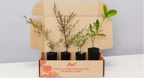 Plants in a Box