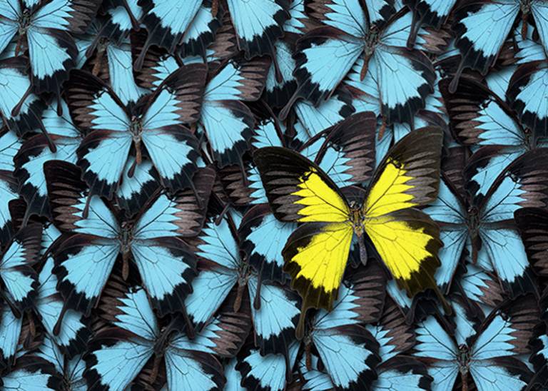 Finding your point of difference – without competing on price
