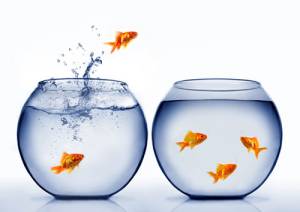 Business succession planning: Developing an exit strategy