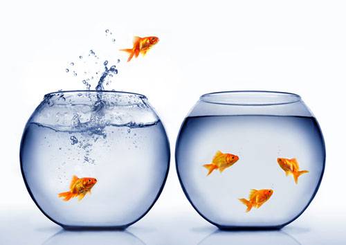 Business succession planning: Developing an exit strategy