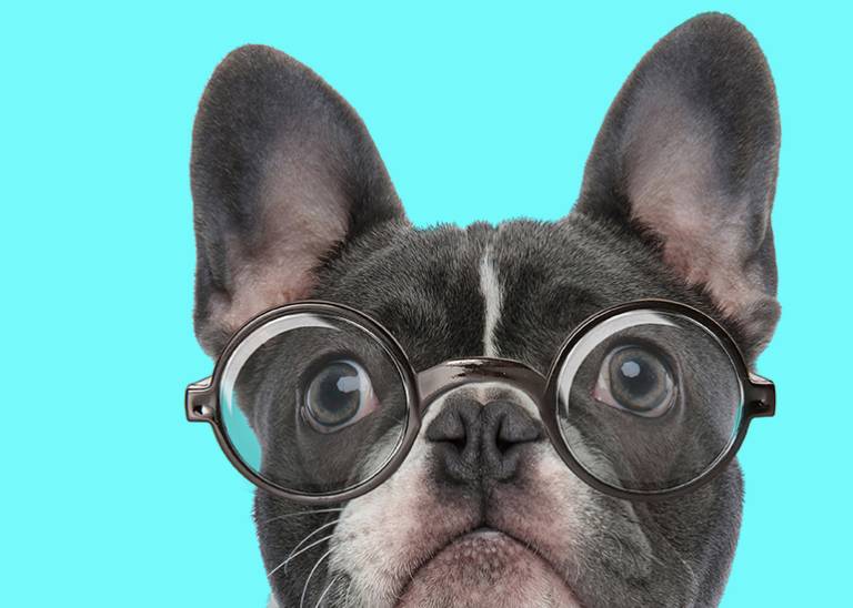 How to learn from your weirdest and worst business feedback