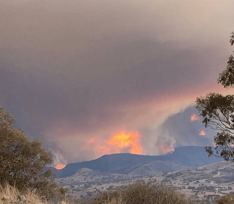 How the bushfires have changed my business goals