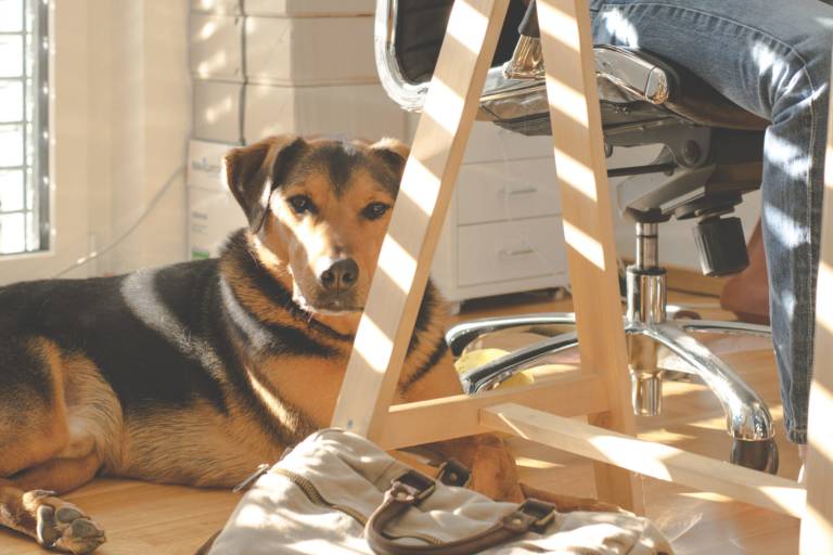 7 ways to maintain productivity during COVID-19
