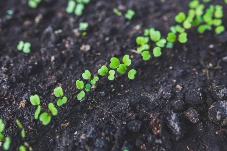 Can you really thrive living life online? 6 business women weigh in