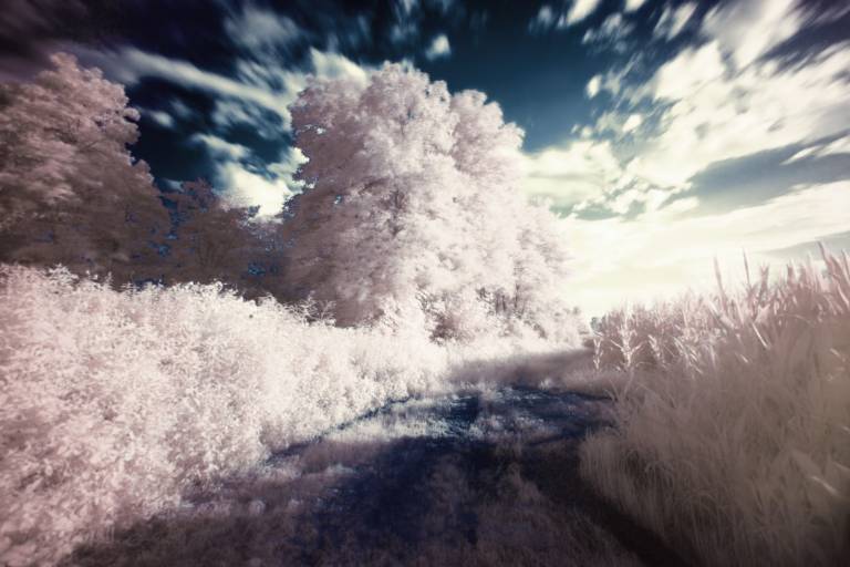 Why your dreams are more vivid during COVID-19