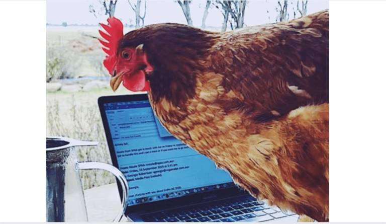 The bar has been set for remote employers