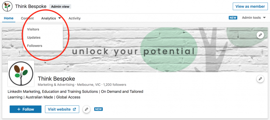 How to access LinkedIn company page analytics