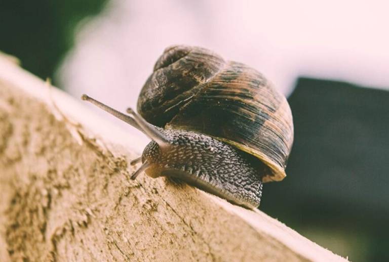 5 ways to go slow