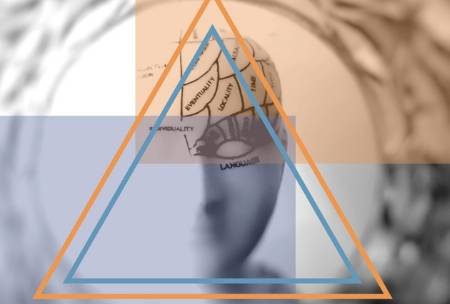 Neuromarketing insights you can use (on any budget)