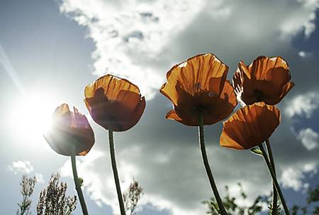 7 ways to stay positive in tough times