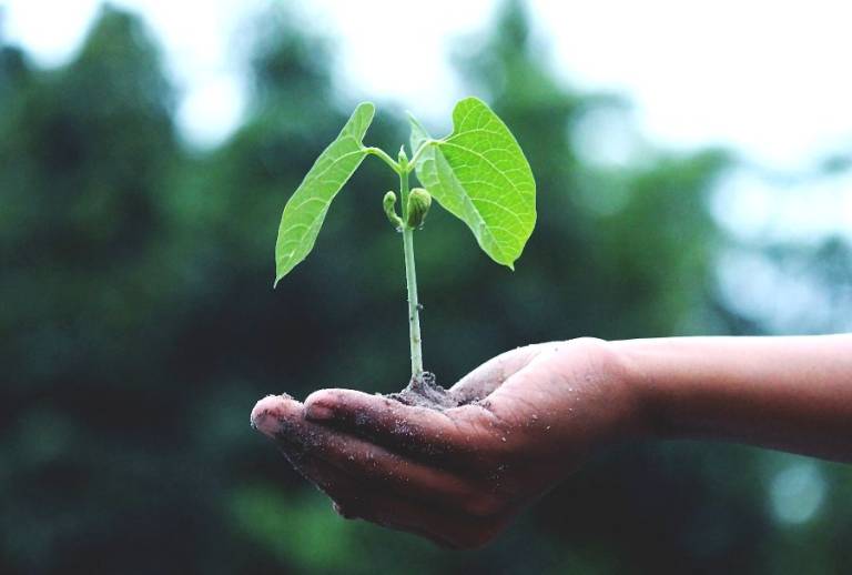 4 benefits to personal growth in business