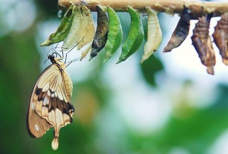 To be or not to be – is your business facing a moment of change?