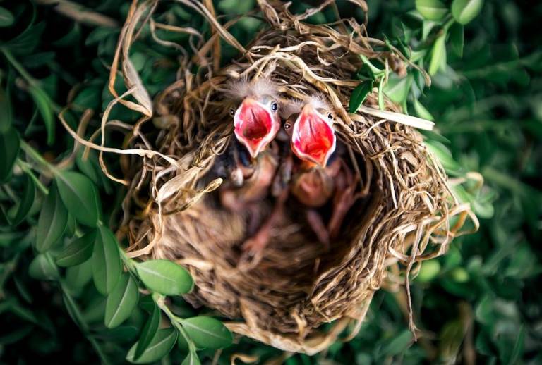 Are you putting all your marketing eggs in one basket?