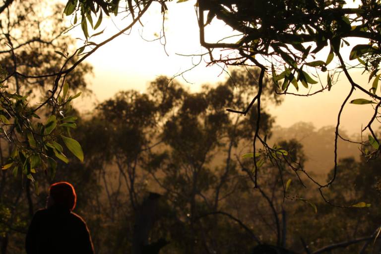 8 reasons why nature is the best business coach