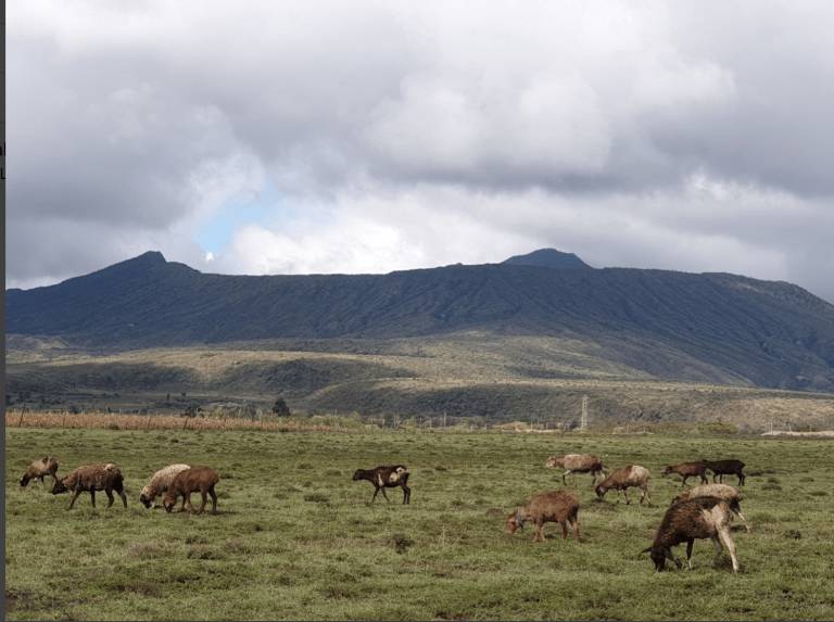 7 things I learnt about my business working from Kenya