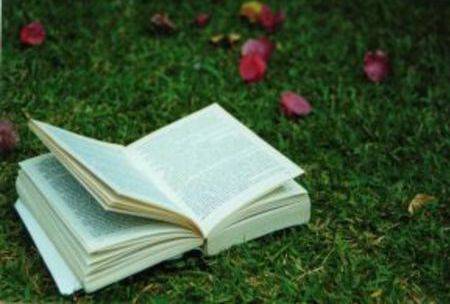 Marketing through storytelling