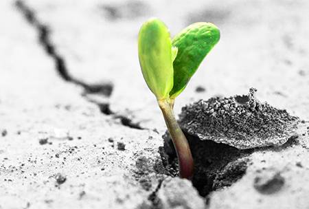 If you’re not growing you’re dying: a lesson for life and business