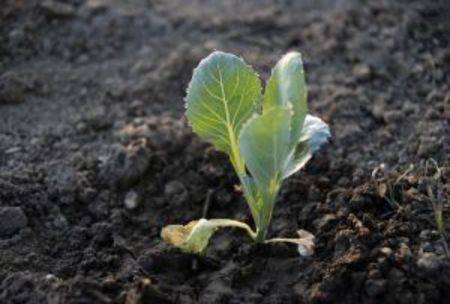 Workload management: How to handle growing pains