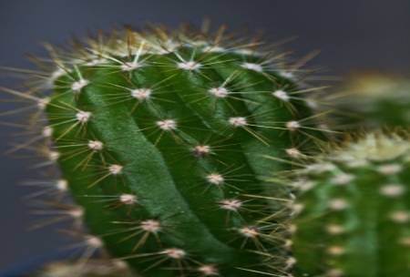 Growth strategies: Avoid growing pains in your business