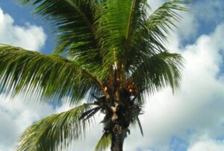 Business marketing tips: Vanuatu style