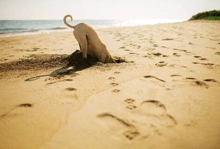 When it comes to client expectations, just keep digging