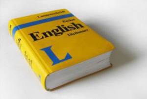Plain English means no waffle