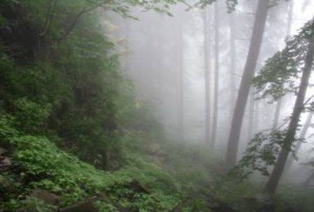 Why mystery matters