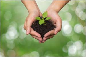 How generosity can grow your business