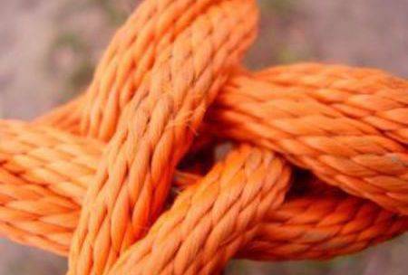 Structuring your new business