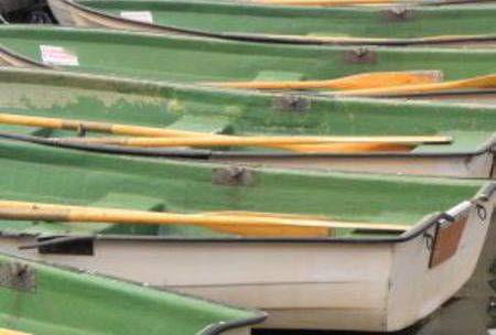Business lessons learned while dragon boating