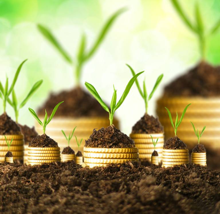 How to grow your business without borrowing