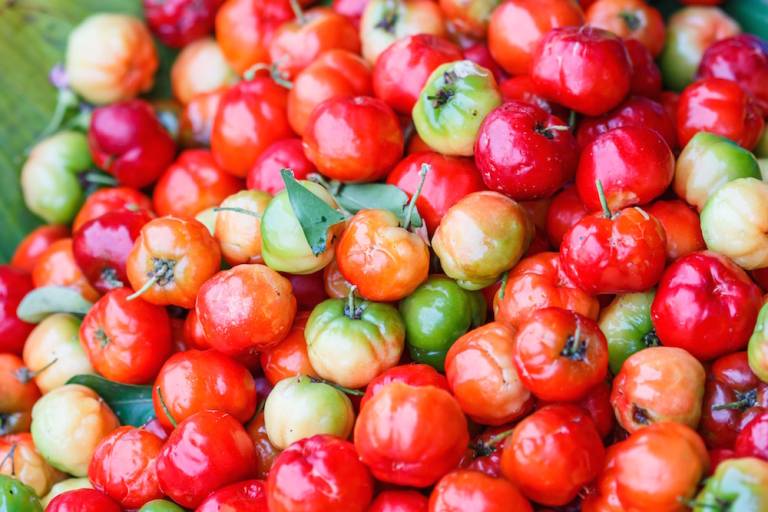 Developing healthy eating habits
