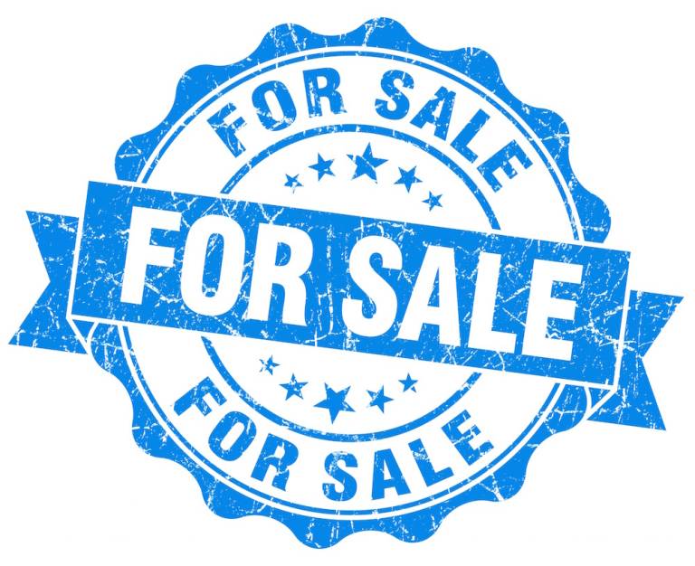 Could you sell your business?