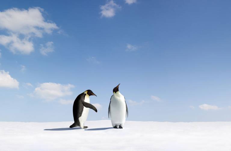 Storytelling in business: What’s your story?