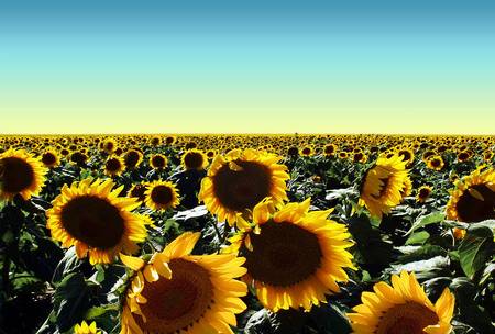 Economic sustainability: When everyone profits