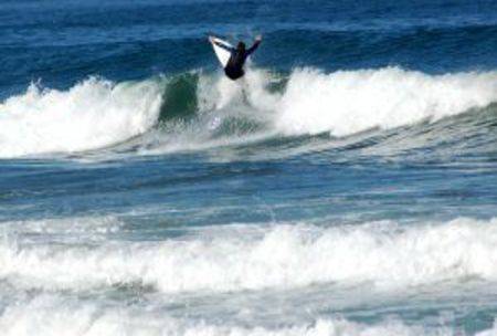 Surfing the business life cycle