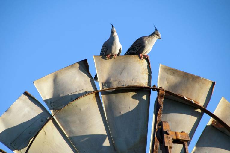 Here are the 3 biggest tech trends in Australia right now