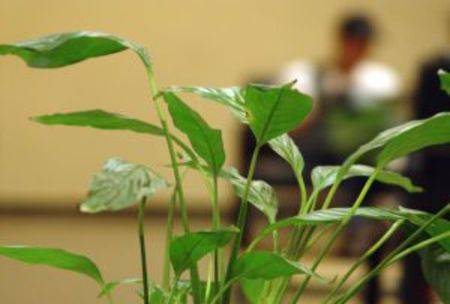 Indoor air quality: Breathe easy in your home office