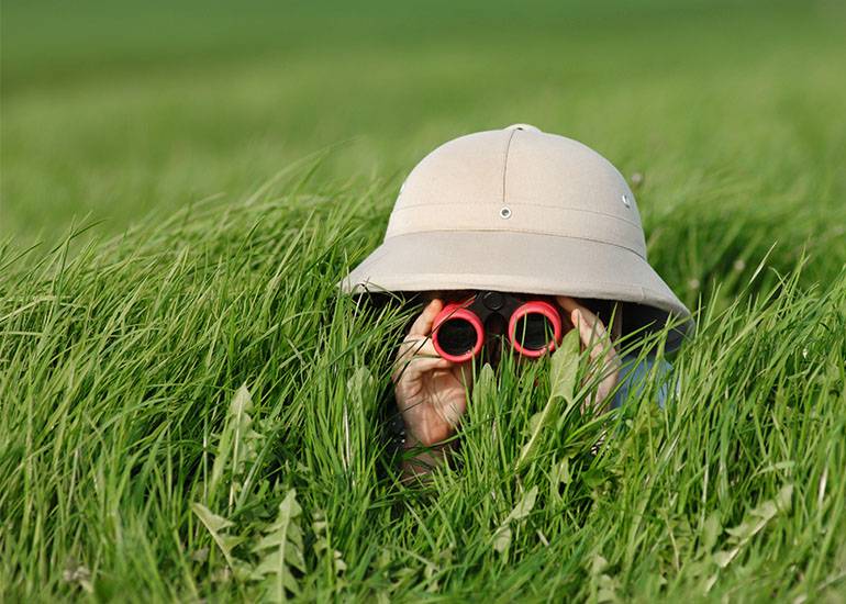 SEO audit will help you get noticed in Search