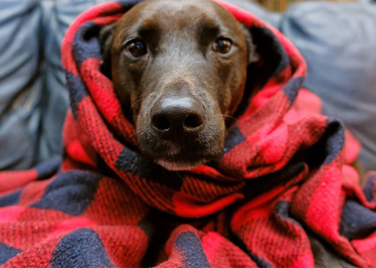 8 tips to save on energy costs this winter