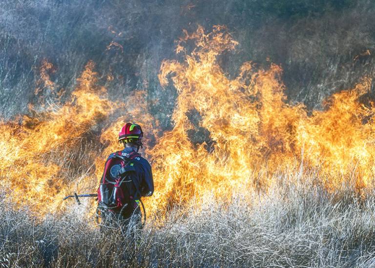 I should have been a firefighter: a day in the life of an accountant