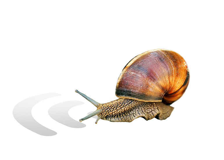 slow internet