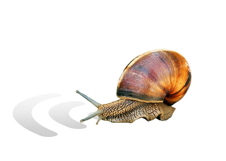 slow internet