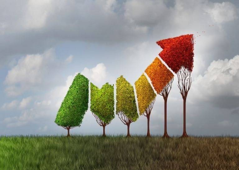 The magic of momentum for business success