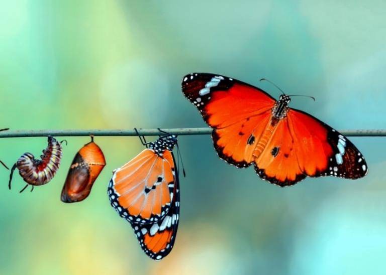 What is the ideal time of life to make lasting personal change? Here’s what research tells us