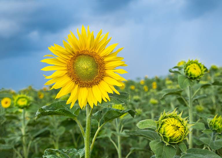 "I could never be like you": Why imperfection is your super power