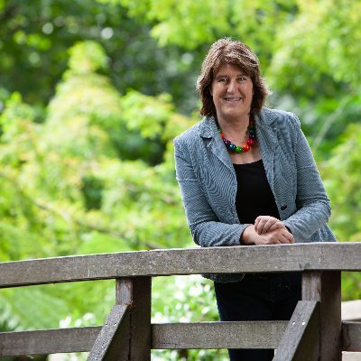 Professor Elaine Fox